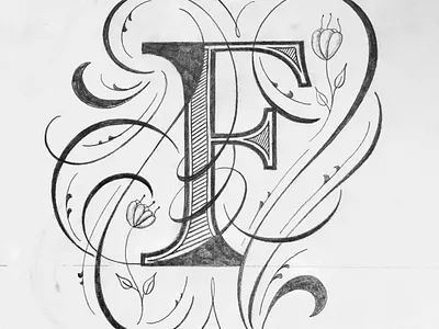 F flourishes illustration lettering
