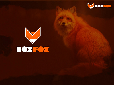 Box Fox animal logo box box design brand branding creative design creativity design fox illustration fox logo foxes illsutration illustration illustrator logo logo deisgn minimal logo orange logo vector vectorart