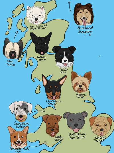 Isle Of Dogs adobe illustrator animals britain digital illustration dog breeds dog illustration dogs icons illustration infographic line art map process procreate app workflow