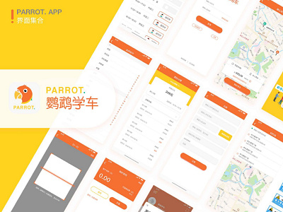 parrot bird design parrot ui