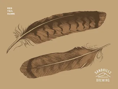 Sandhills Red Tail Feather beer beer art beer branding bird branding brewery brewing company feather