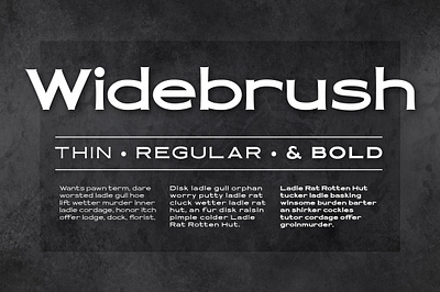 Widebrush Sign Painter Font brush stroke brush strokes display font display type font font bundle font design hand lettered hand lettered font hand lettered type hand lettering lettering brush sans serif font sign sign font sign painter vintage