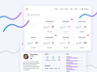 BetaTesta - My projects app branding design icon illustration logo ui ux web