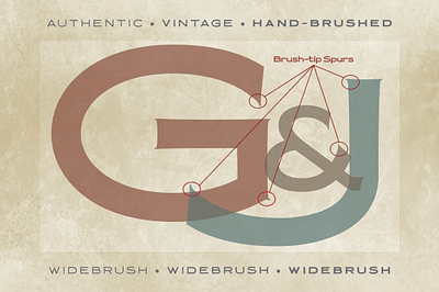 Widebrush Authentic Sign Painter Hand-lettered Font brush font brush lettering brush strokes font font bundle font design hand brushed hand lettered font hand lettering lettering lettering brush sign sign font sign painter vintage vintage font