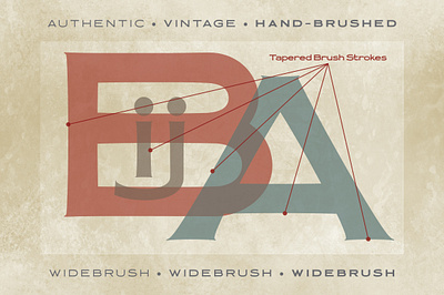 Widebrush Authentic Sign Painter Hand-lettered Font brush font brush lettering brush strokes font font bundle font design hand lettered font hand lettering lettering sign sign painter