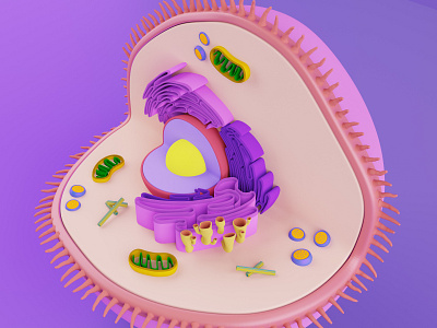 Eukaryotic cell b3d blender blender3d cell eukaryotic microscopic render science