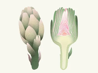 Artichoke artichoke digital illustration