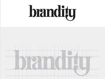 Brandity - logo design logo design logotype brand