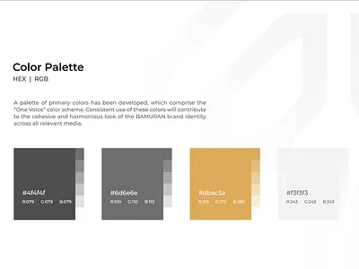 BAMURAN | Brand Identity brand branding color colorful design graphic design icon illustration logo ux vector