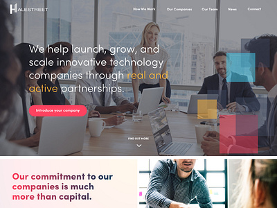 halestreet capital wordpress