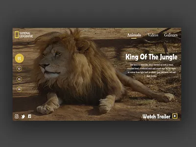 Lion design graphicdesign uxdesign web web design webdesign