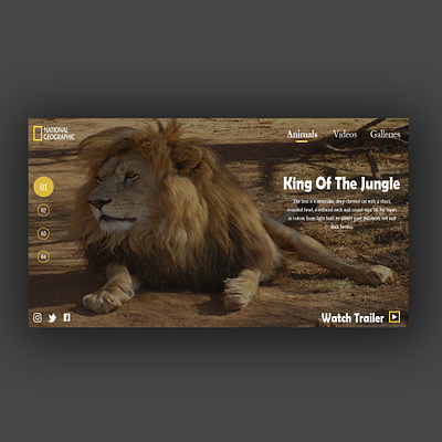 Lion design graphicdesign uxdesign web web design webdesign