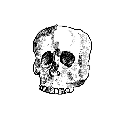 Skoll illustration pixel