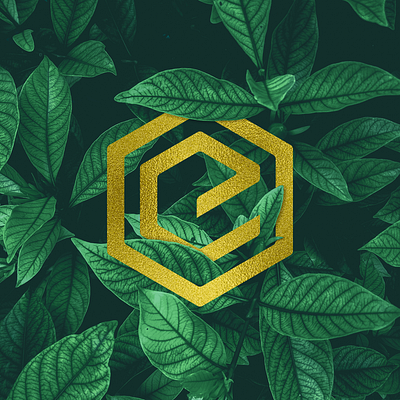 Leaf - My Logo branding design gold graphic graphic design icon illustration leaf letter logo logo design logodesign logotype typography ui