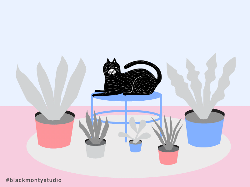 Have a PURRRfect day! animation black blackmontystudio blue cat flat flatdesign flower illustration flowers garden gif animated grey illustration indoor plant inside garden levitation plant plants relax vector