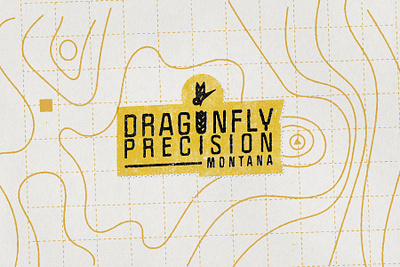 DragonFly Precision - Logo and Branding. branding design graphic logo typography