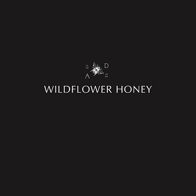 Api D'Oro brand branding design food and beverage food and drink honey honeybee illustration logo packaging packaging design squarespace typography web website