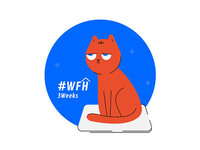 Cats wfh 3weeks april art blue boring cat catart design graphic graphics illustration illustration art illustrator laptop orange sleepy vector vector art vector illustration wfh