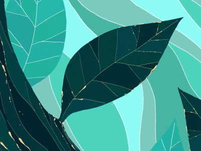 Fluid effect animation fx illustration nature