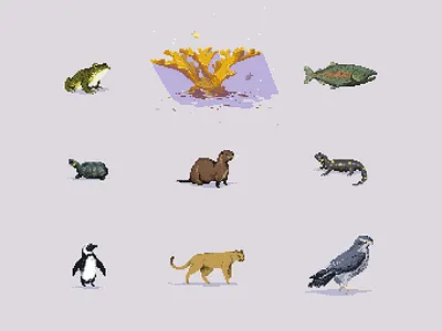 Endangered pixel art animals animation birds digital endangered funny game game art gif nature ocean pixel pixel art pixel icons retro videogame