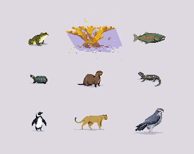 Endangered pixel art animals animation birds digital endangered funny game game art gif nature ocean pixel pixel art pixel icons retro videogame