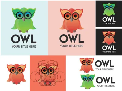 Owl Branding Logo design animal animals animation art arts bird blog cartoon community creative design fashion fly geek kindergarten learn learning mascot media nard