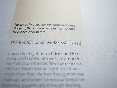 Excerpt from The Judgement of the Birds by Loren Eisley birds book book art book design books contrast design duality interior book design shift type type art type design typedesign typographic typography typography art typography design