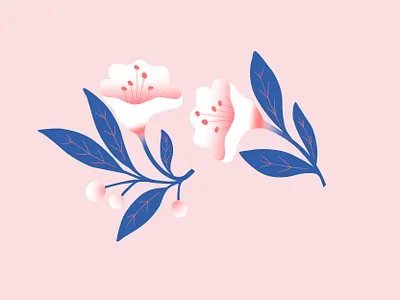 Bunch of Blossom bloom design floral floral art floral design flower illustration illustrator nature