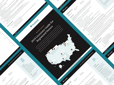 Licensure Guide design healthcare marketing minimal ui ux web web design website