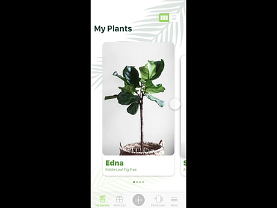 ROOTS - keep your plants alive! animation cards cards ui design iconography plant app plant watering app plants ui ux