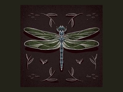 Bug 2 color dragon dragonfly flyer illustration insect pencil procreate