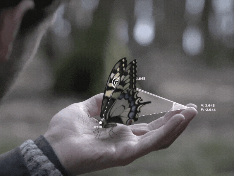 Butterfly Blueprints 3d adobe aftereffects animation blueprint butterfly cgi coordinates design expressions mocha mograph motion motiongraphics process render tracking vector vfx