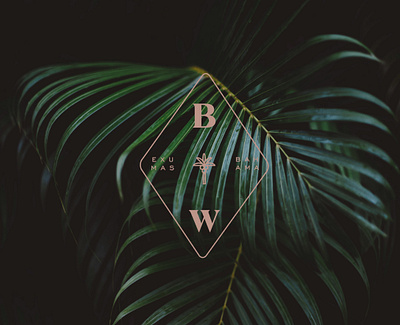 Brentwood Resort bahamas booking app brand branding design hotel logo motel packaging resort squarespace travel tropical typography website