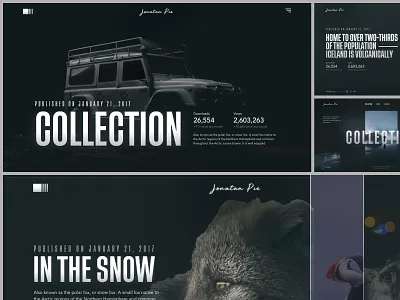 Jonatan Pie - Photographer Portfolio Concept branding collection design photo photographer photography photos portfolio portfolio site type typography ui uidesign uiux ux work