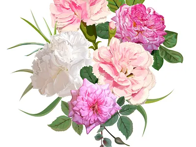 Carnation and Pink rose card design fabric floral flower greeting invitation nature textile vector wallpapers