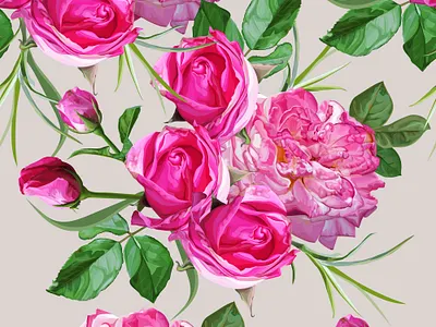 Pink Roses vector illustration card design floral flower greeting illustration invitation nature vector wallpapers