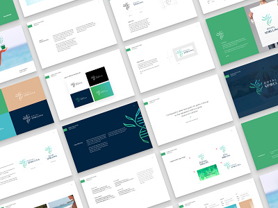 Royal Spirulina Brand Guideline brand design brand guideline brand identity branding branding agency case study food branding health logo branding logo logodesign modern barnding royal spirulina