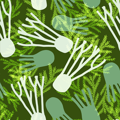 Fennel design illustration