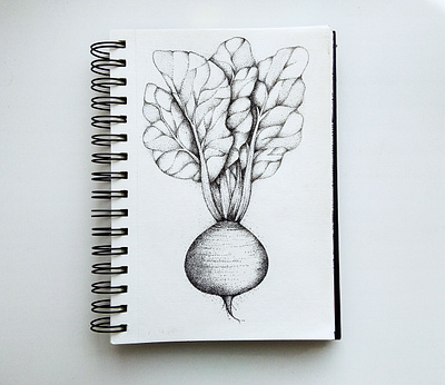 beetroot design drawing illustration pointillism ui