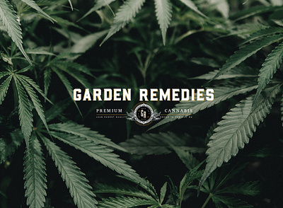 Garden Remedies brand branding cannabis cannabis branding cannabis packaging cbd design illustration logo mural packaging packaging design typography website