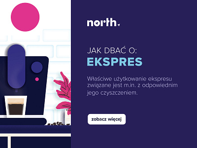 North appaliances branding illustration logo rio creativo ui