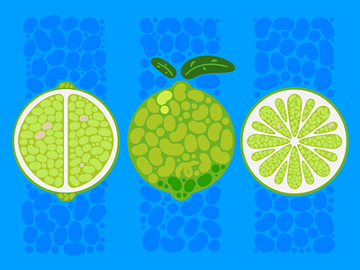 05. Green Lemon acid digital illustration flat fruit green illustration lemon vector