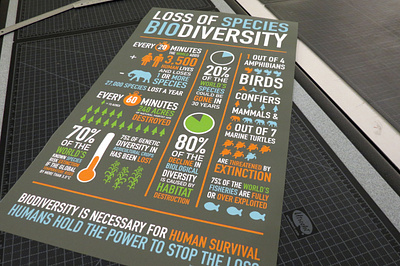 Biodiversity Infographic design graphicdesign infographic