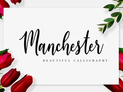 Manchester Script Font branding calligraphy invitation logo love lovely script sweet wedding