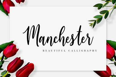 Manchester Script Font branding calligraphy invitation logo love lovely script sweet wedding