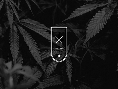 Hemplux logo brand identity branding hemp illustrator logo minimal minimal logo nature logo plant logo visual visual design weed weed logo