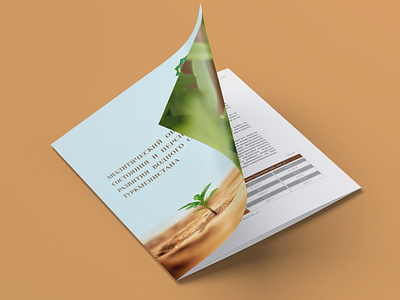 Assessment of Water Sector Brochure 2015 brochure brochure design design layout photography typography undp vector