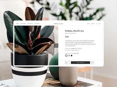 Ansel & Ivy app app design design grid grid system interaction minimal modern plants shop shopping typogaphy ui uiux website website design