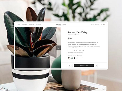 Ansel & Ivy app app design design grid grid system interaction minimal modern plants shop shopping typogaphy ui uiux website website design