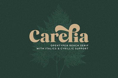 Carelia Font Family branding classic font display font elegant font font font design font family fonts graphic design lettering logo font logo fonts logotype modern font opentype retro font typeface typefaces typography vintage font